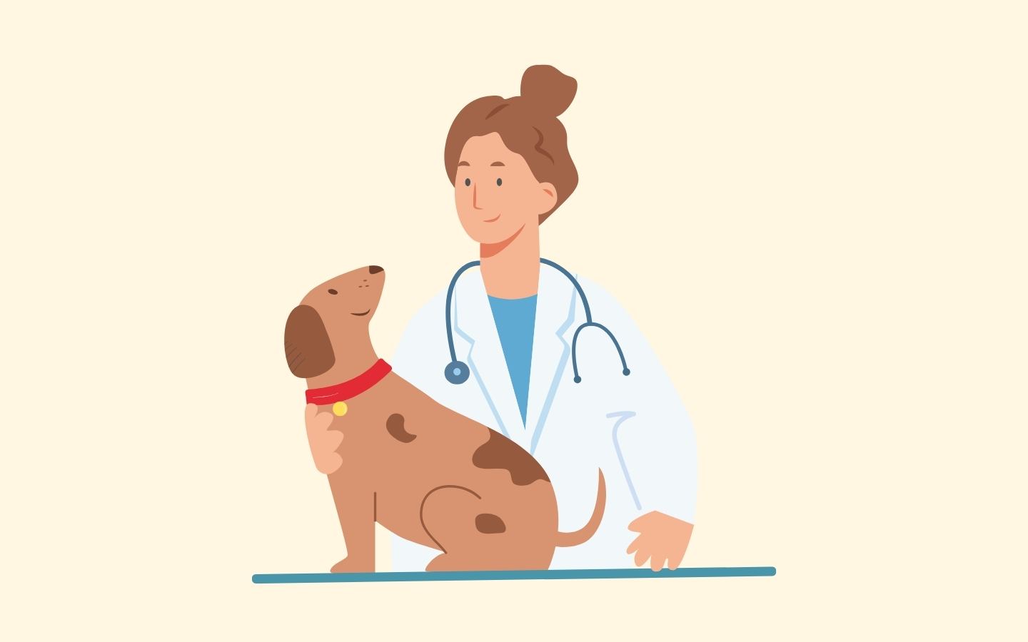 Clinique Véterinaire Artategia