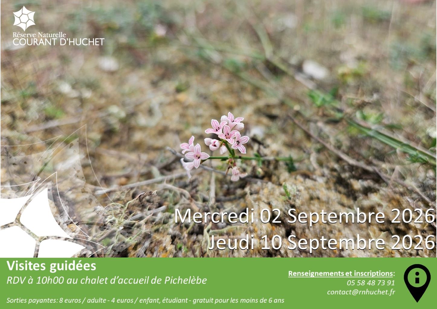 Partez à la découverte de la Réserve Naturelle du Courant d'Huchet