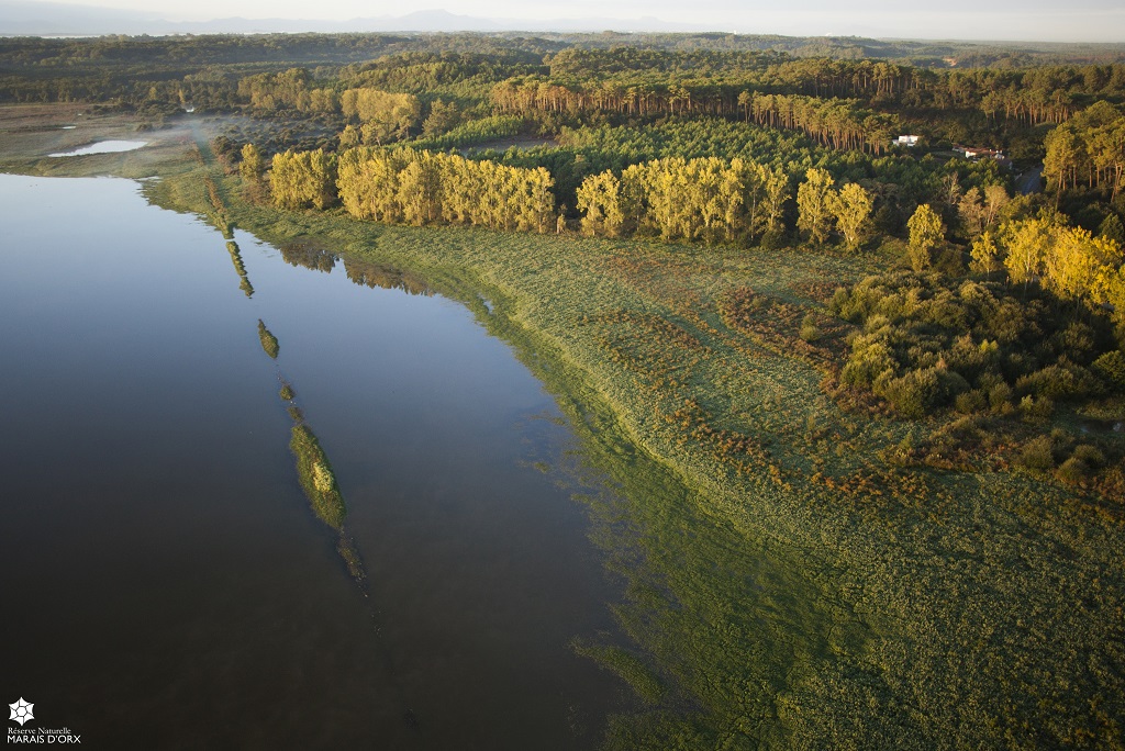 Randonnée découverte sur le circuit naturaliste