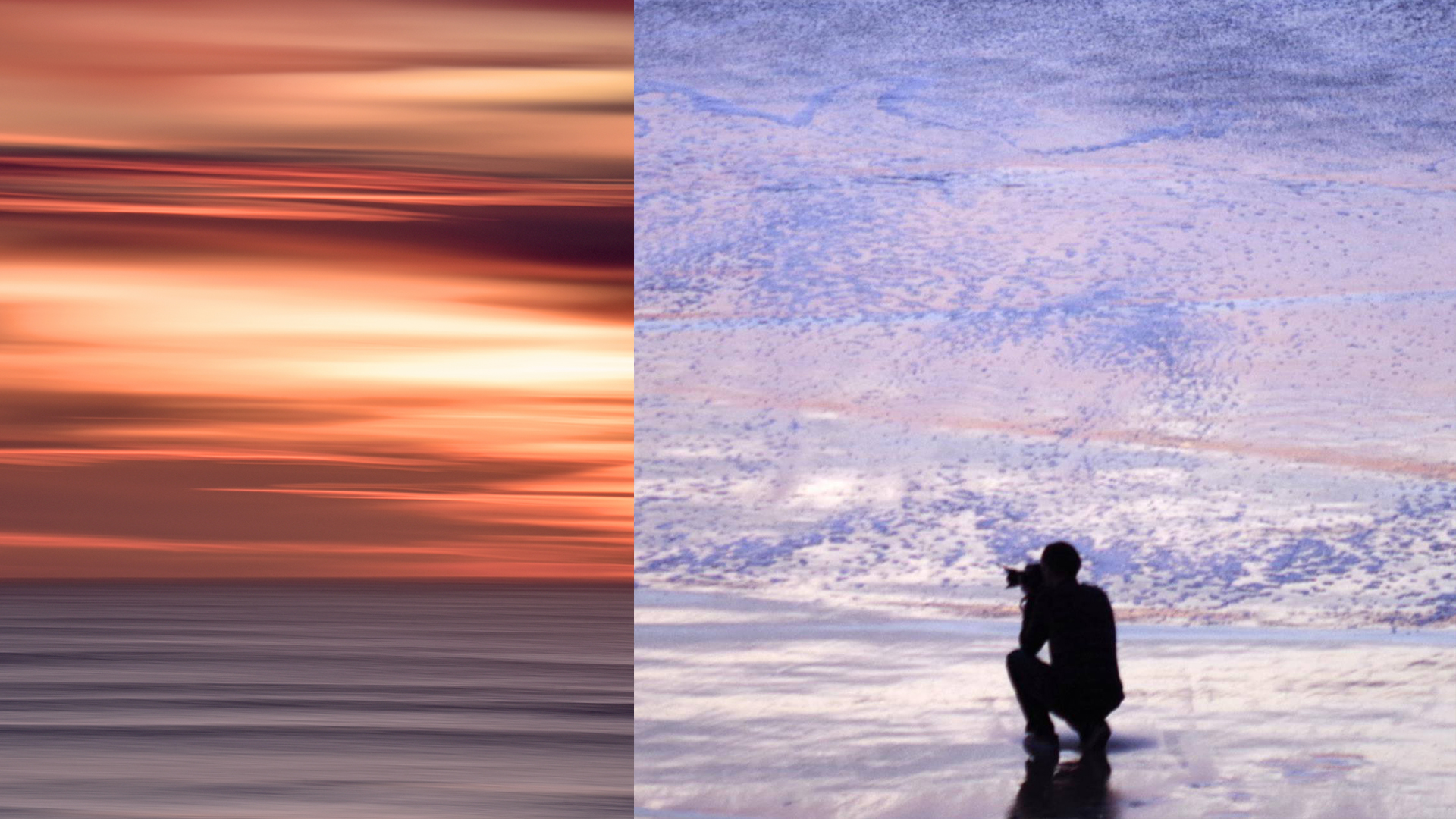 Yannick Le Toquin Photographe