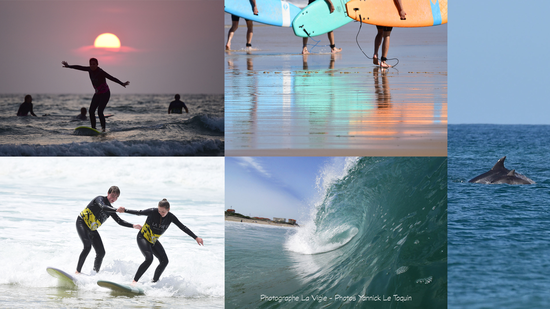 Yannick Le Toquin Photographe - photo 3