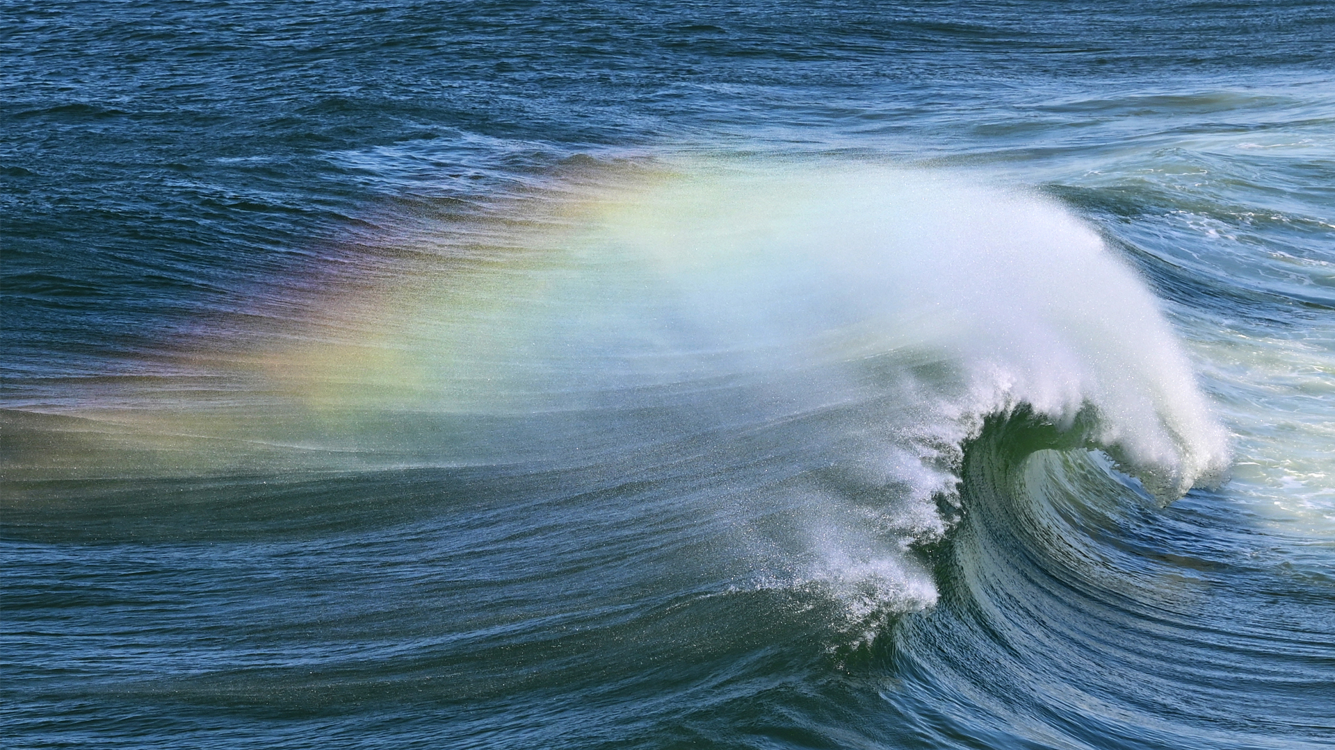 Yannick Le Toquin Photographe - photo 5