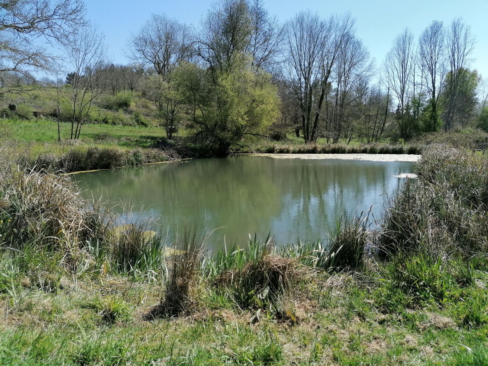 Zone Humide du Lavoir Du Gau
