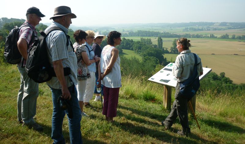 Découverte des Orchidées des coteaux du Moulin