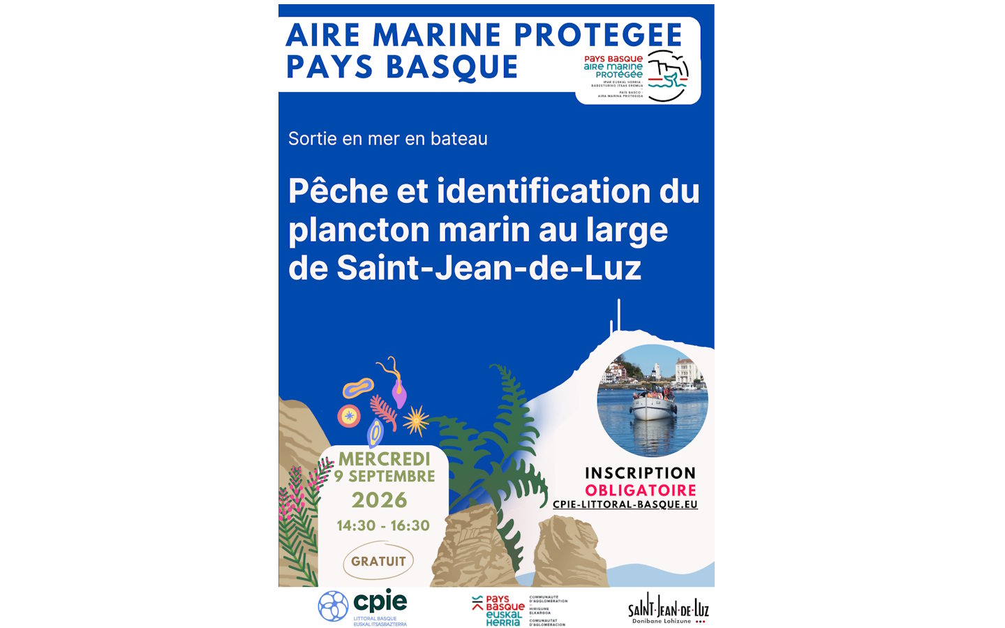 Aire Marine Protégée Pays Basque - Pêche et identification du plancton marin au large de Saint-Jean-de-Luz.