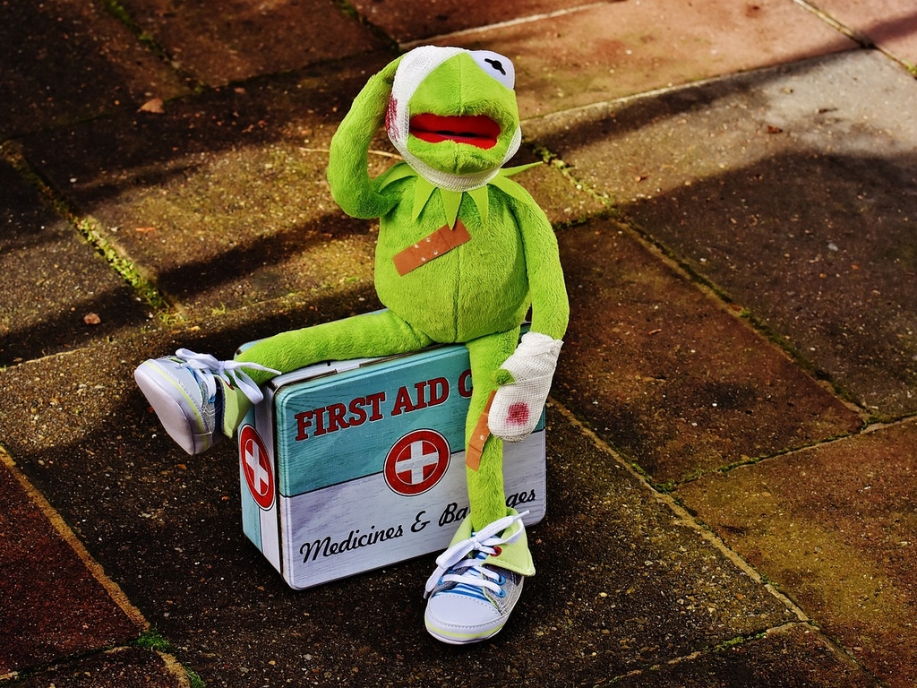 Mercredis nature : SOS animal sauvage en Détresse !