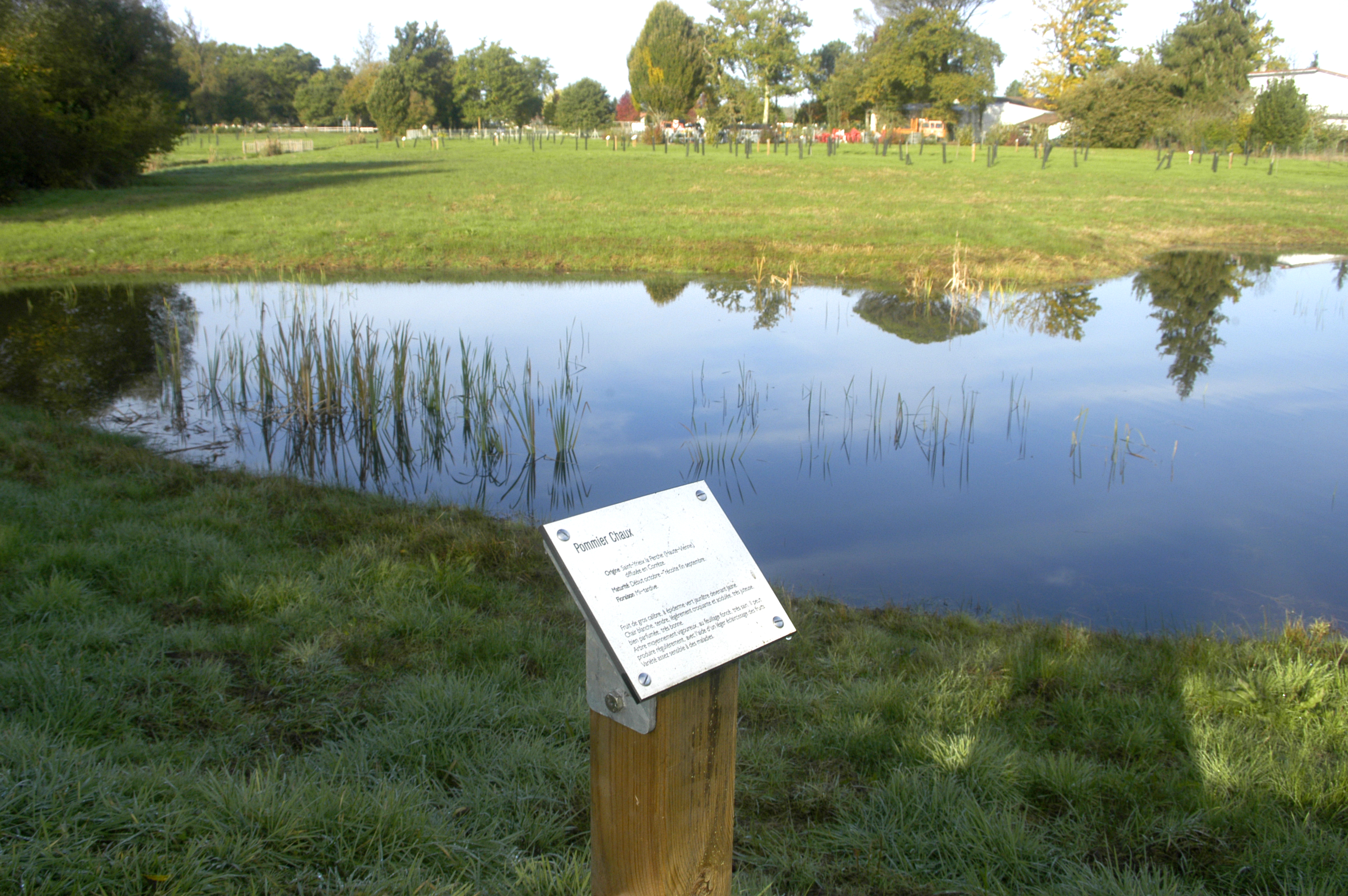 Aire de jeux à l'arborétum de Moré