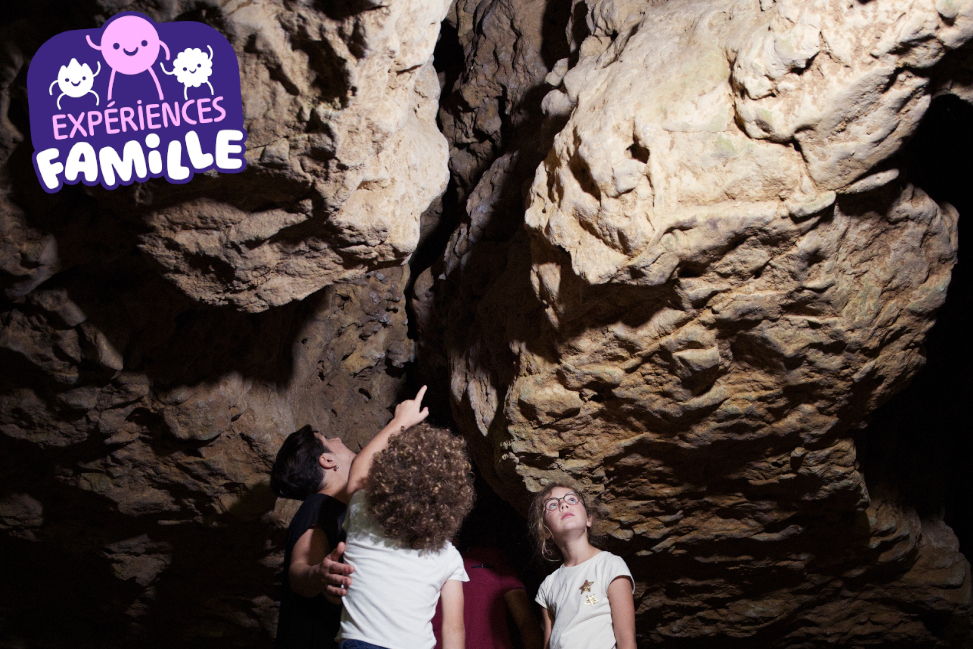 Animation préhisto' familles "Grotte et gravure" - Expérience Famille