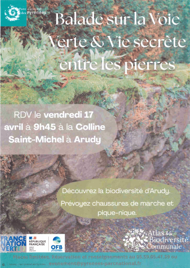 Fêtons la biodiversité : Balade sur la voie verte & La vie secrète entre les pierres