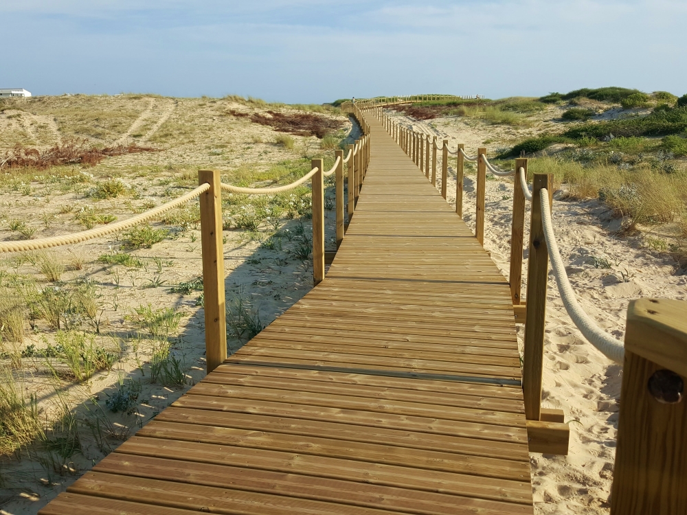 Promenade sur la dune : au départ de la plage du Penon