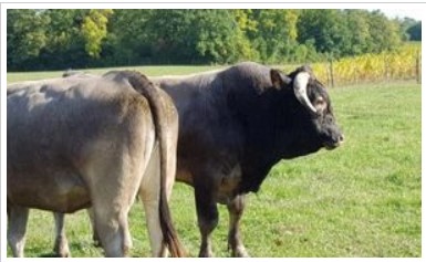 Ferme Gauvry Boutique