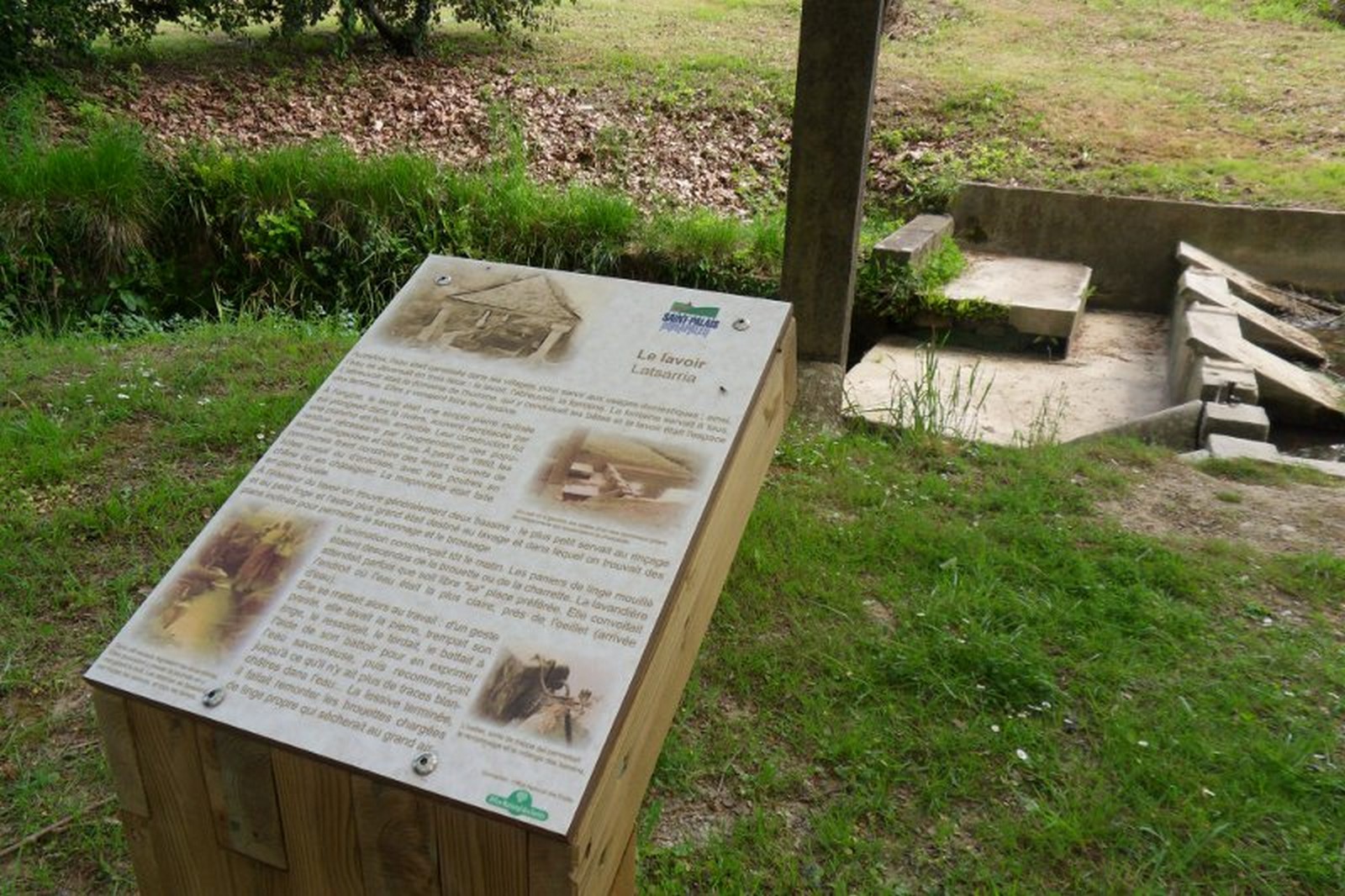 Bois de la ville
