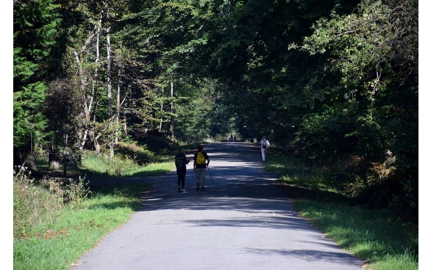 Forêt domaniale de Bastard