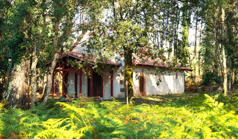 Balade pédestre guidée