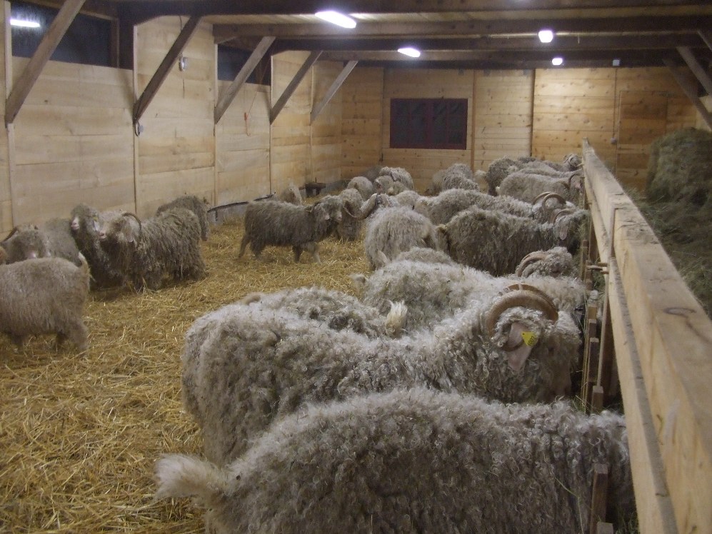 Ferme des 4 vents