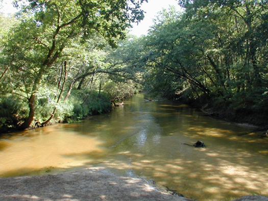 confluence des deux LeyresFredGilbert
