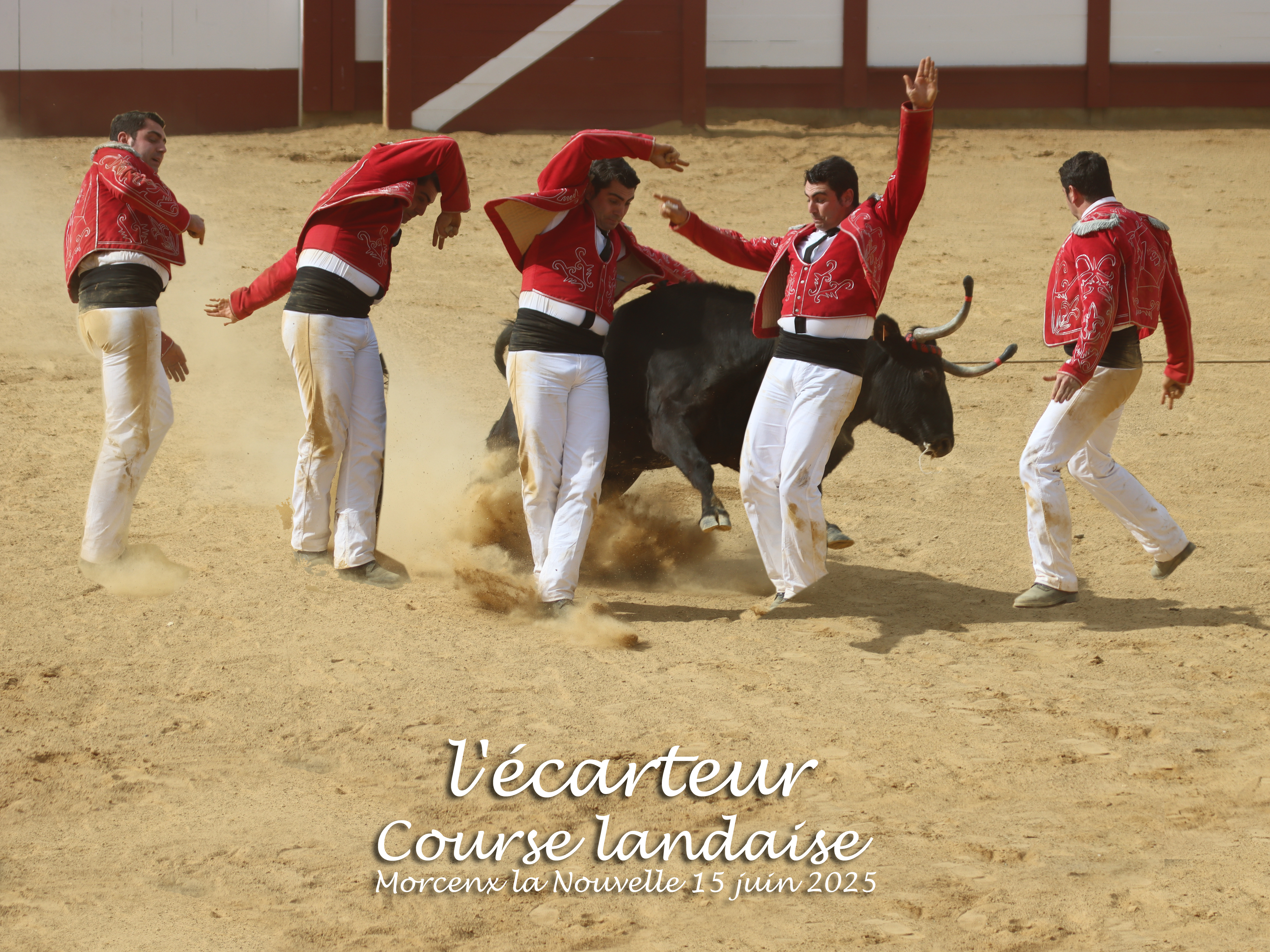 Estivale en Pays Morcenais, "Les arènes en fêtes ! "