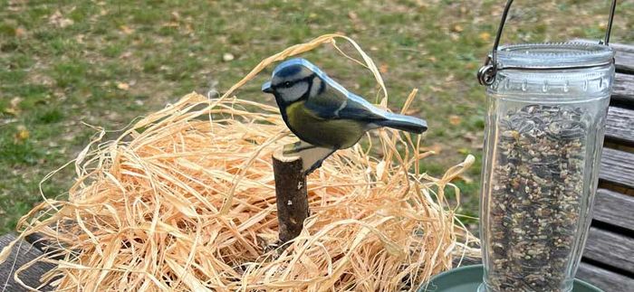 Animation nature en famille : Coup de pouce aux oiseaux