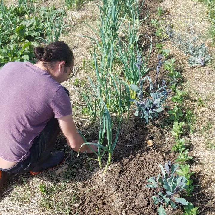 Stage week-end Permaculture