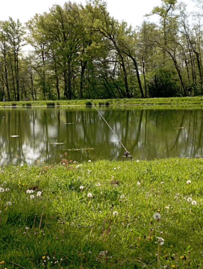 Etang communal de Cronles