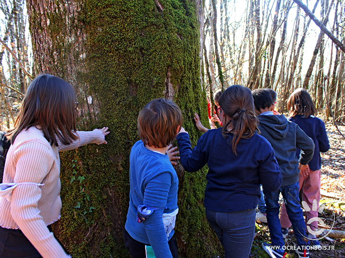 Sylvothérapie - Ô Création Bois - photo 5