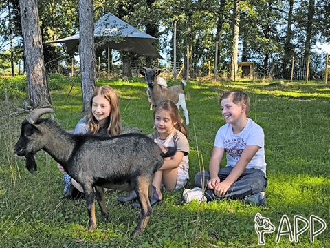 Parc animalier des portes du Périgord