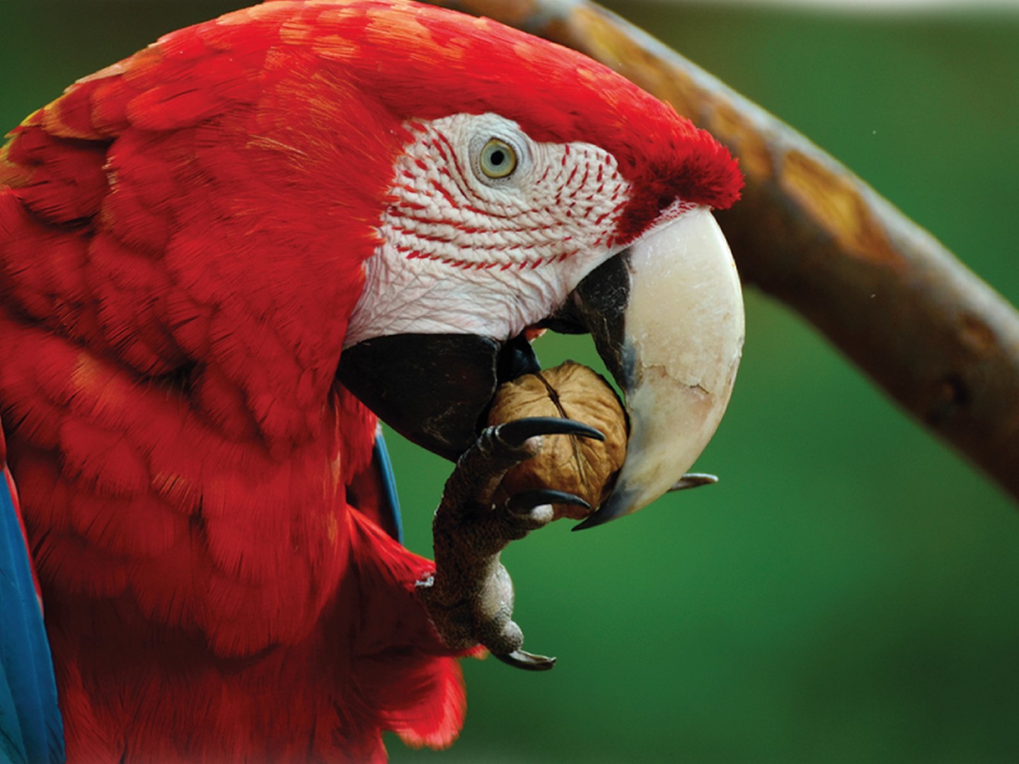 Exotic Park