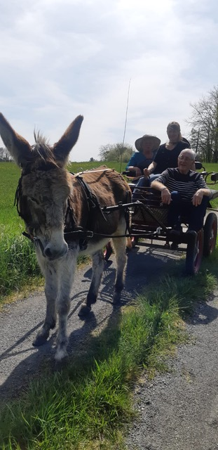 Association les petits ânes Vergt