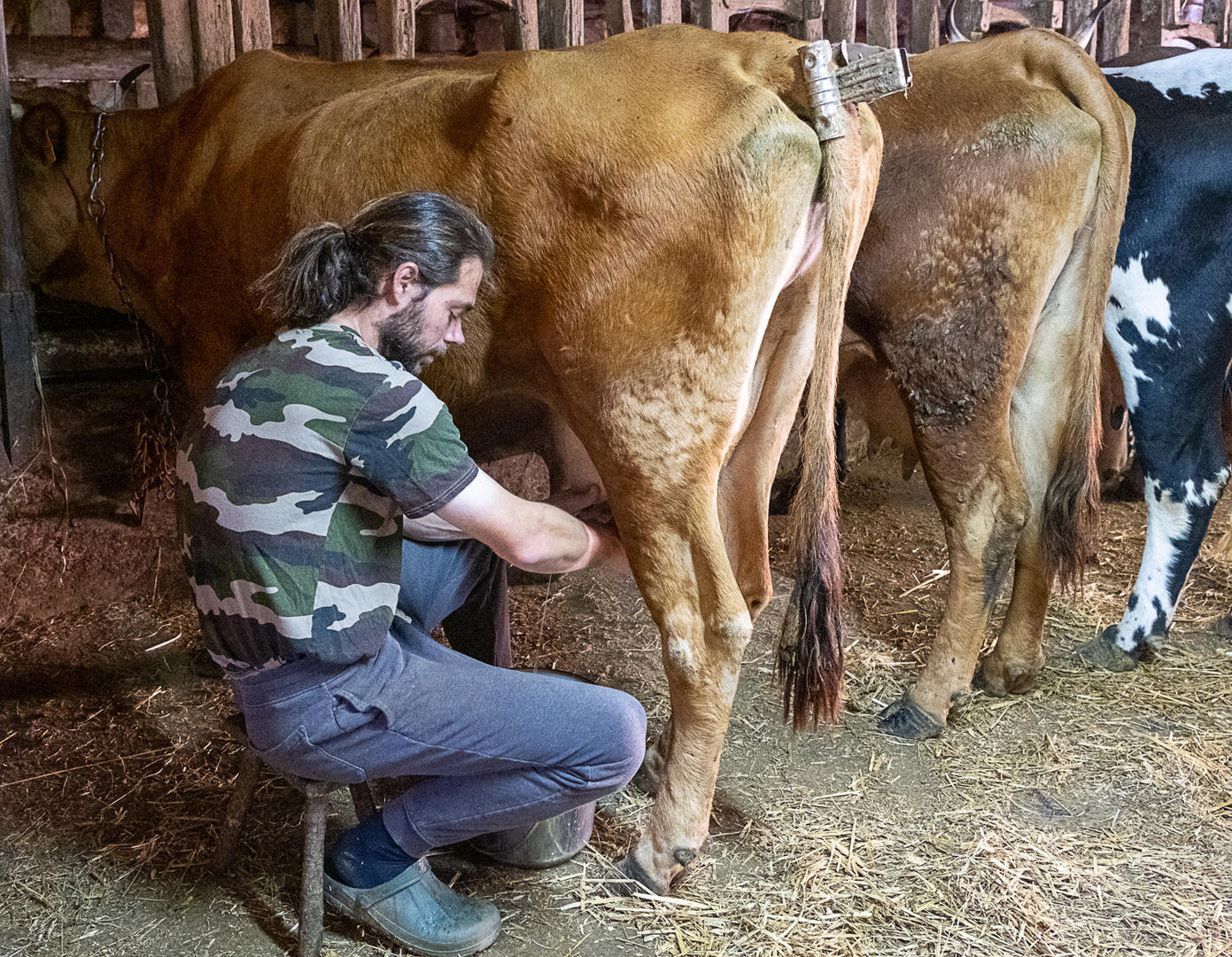 ferme de beausoleil-0825