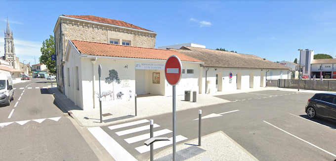 Gynécologue et Médecin esthétique DR Morgane BROUILLON