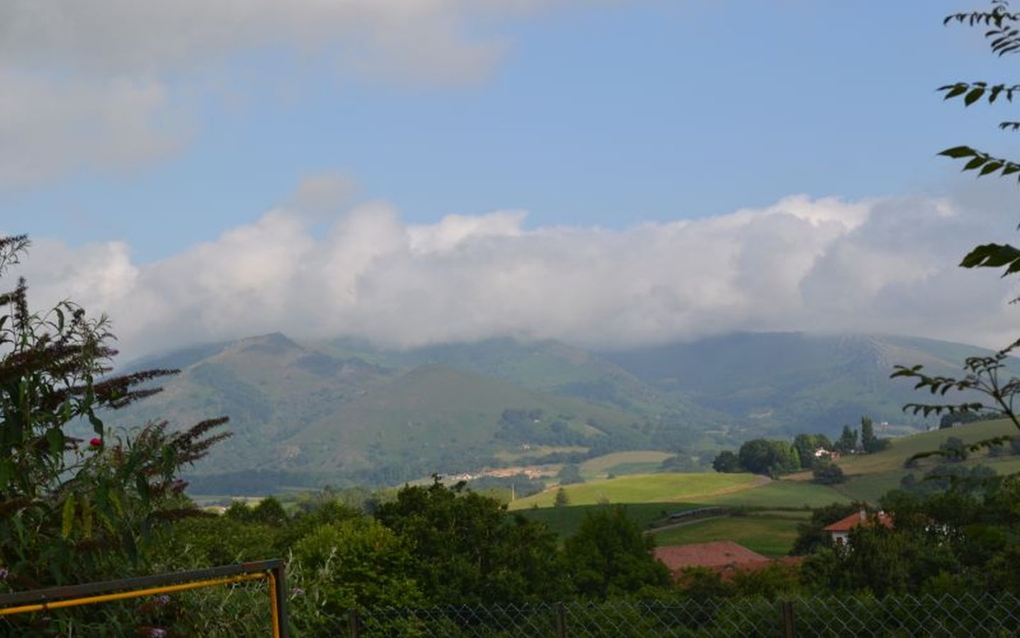 Benta Halty, restaurant - photo 3