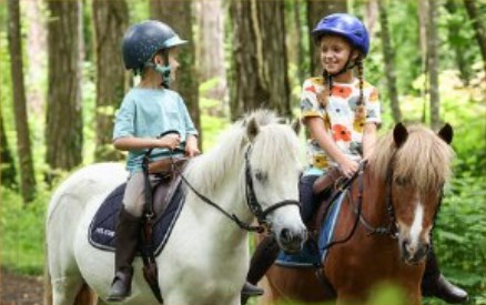 Stages d'été à poney avec Les Paladins de Saint-Agnan