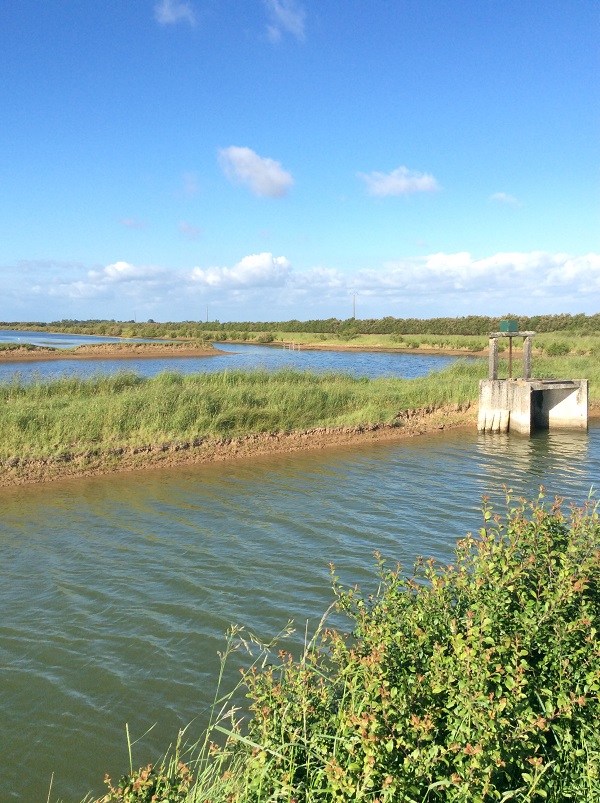 Ferme Aquacole Eau Médoc - photo 3
