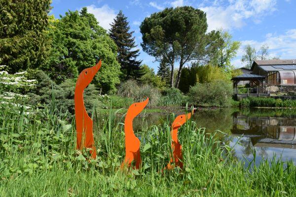 Sortie Nature : La vie des arbres