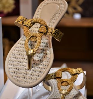 Jalapão Nature - photo 3