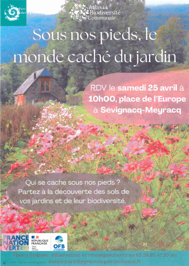 Fêtons la biodiversité : Sous nos pieds, le monde caché du jardin