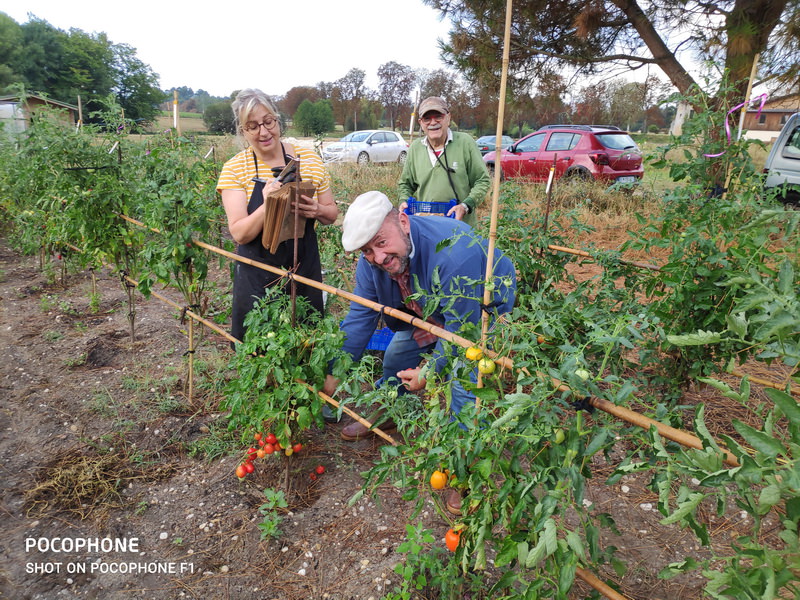 Association Jardins de Tomates - photo 3