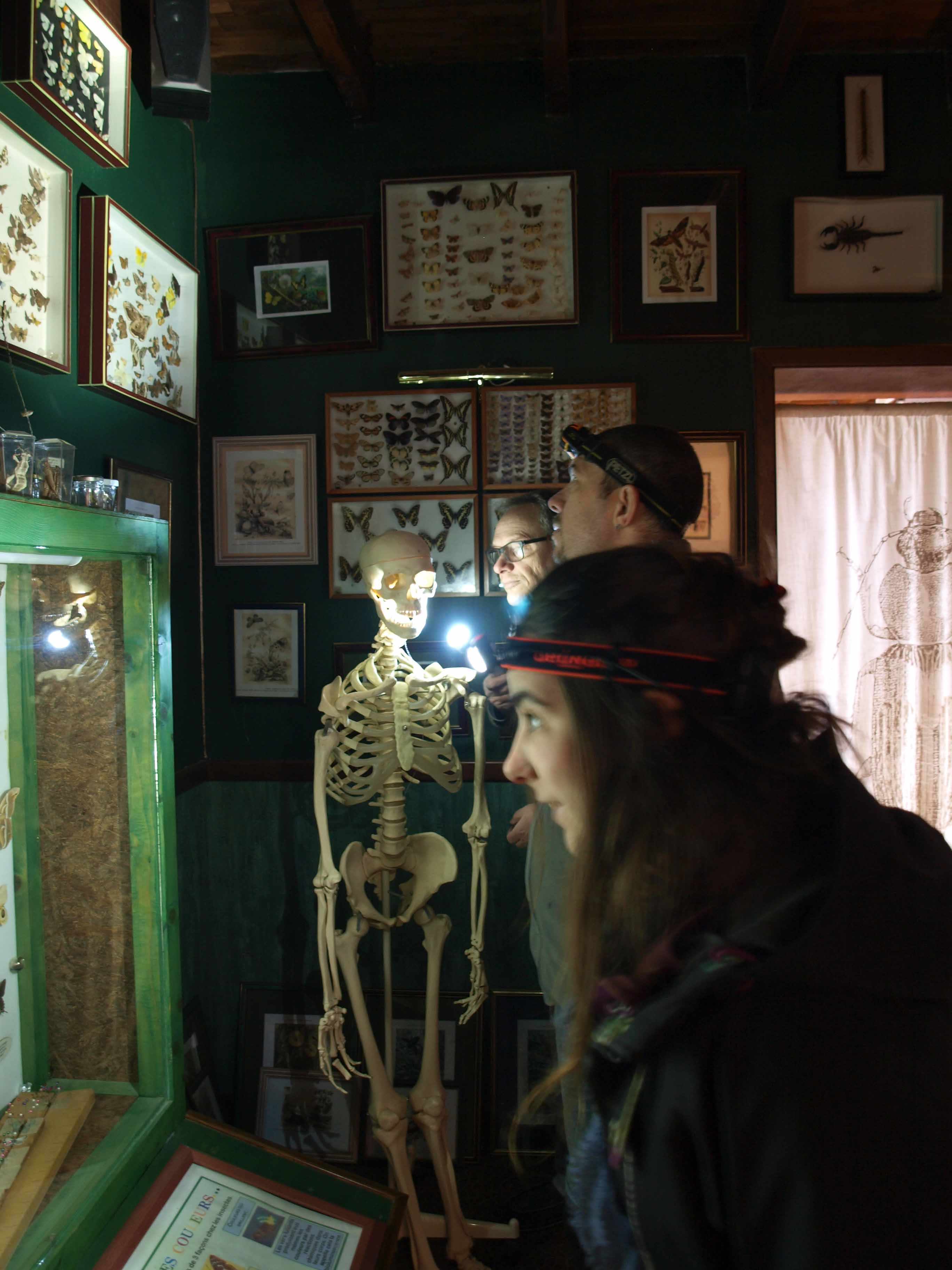 La nuit des musées à la Cité des Insectes