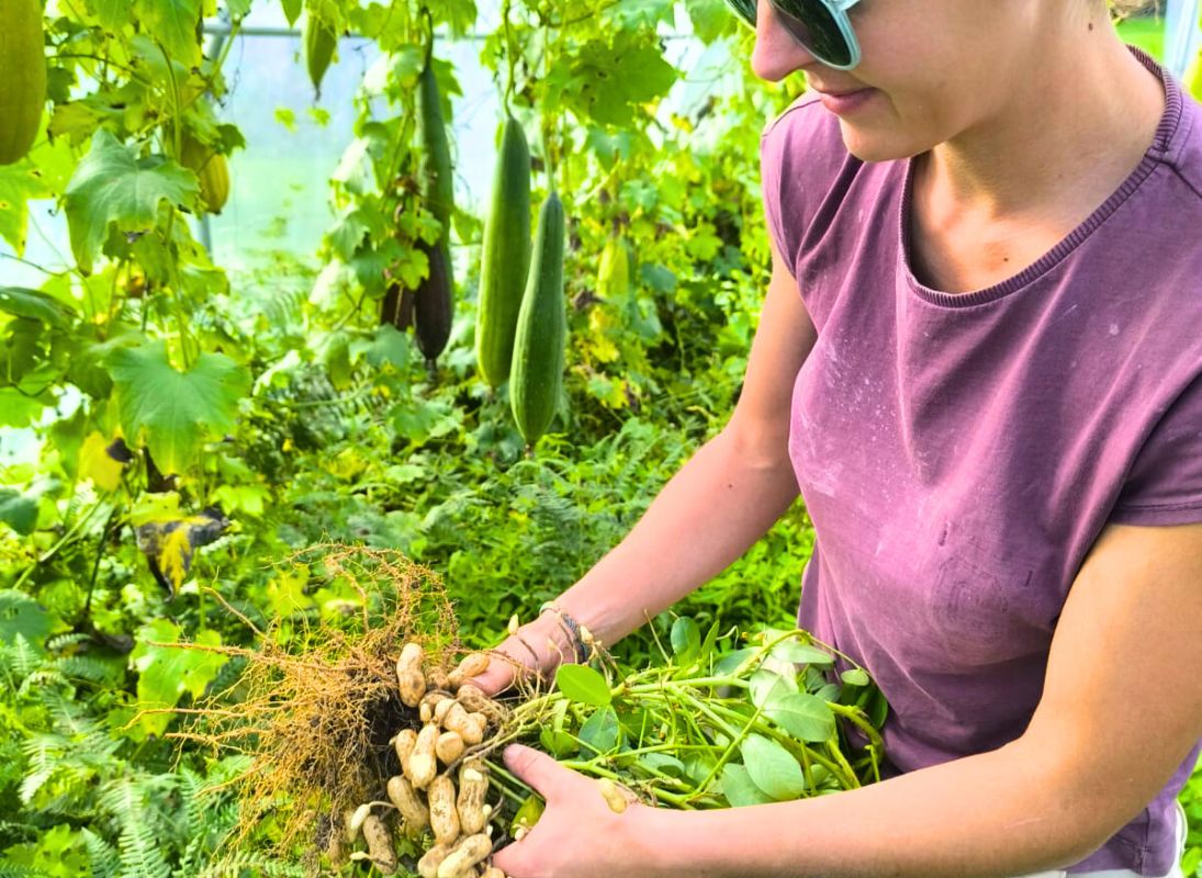La Sittelle - Conserverie paysanne - photo 3