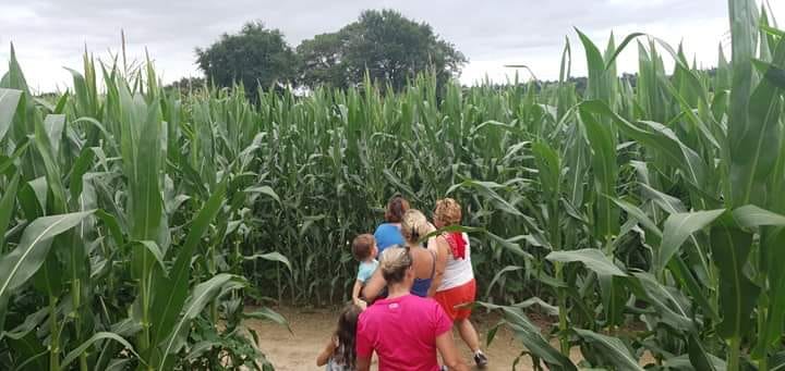Le labyrinthe de Chalosse