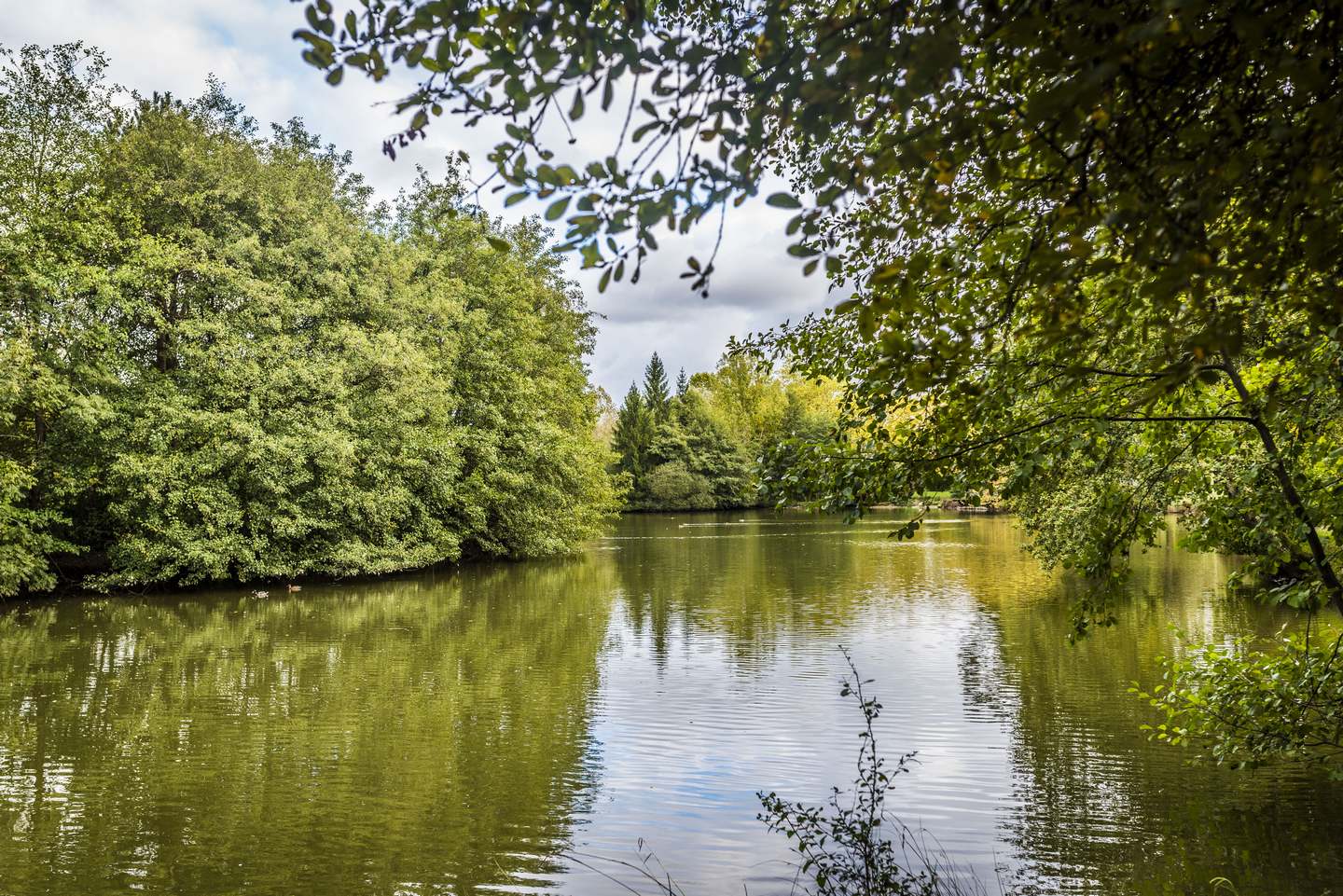 Lac des Carolins