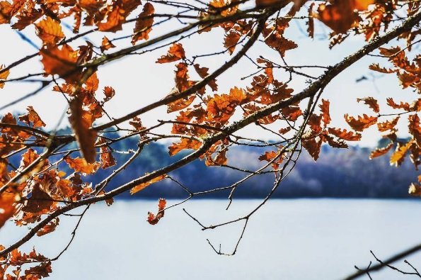 Lac de Brouqueyran