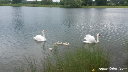 lac-de-cadarsac