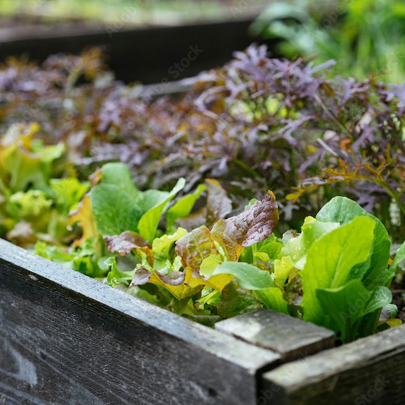 Ferme Rocher Branlant