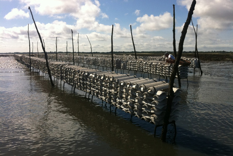 Pescatourisme – Monsieur Lionel FOUCART