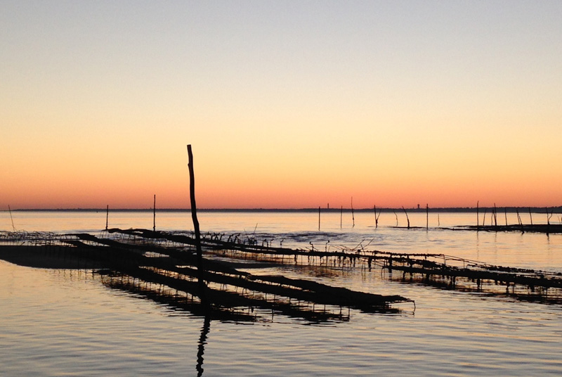 Pescatourisme – Monsieur Lionel FOUCART