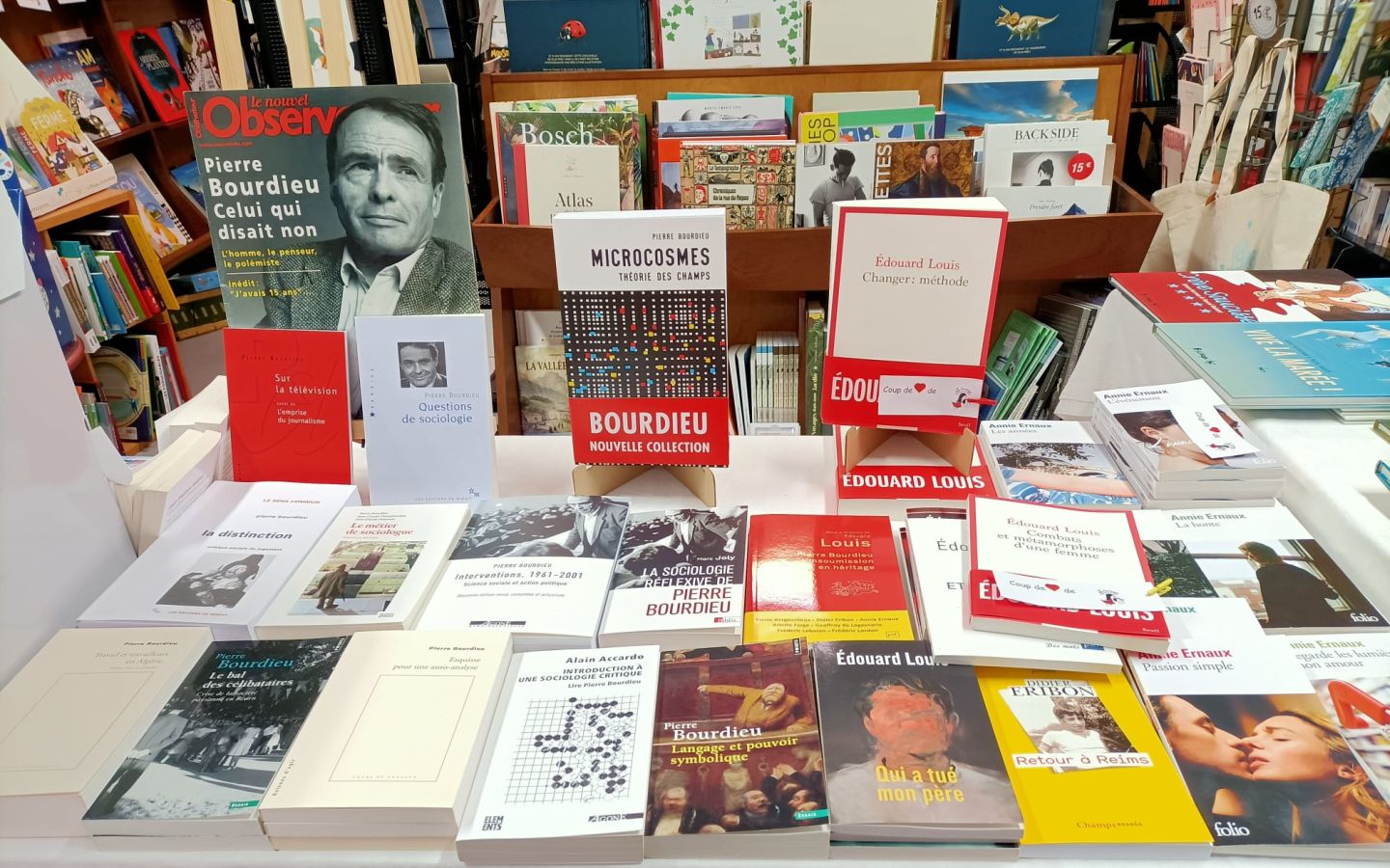 Librairie La curieuse