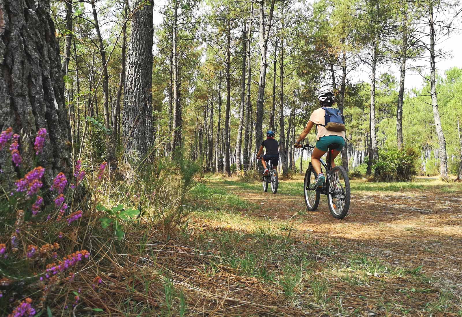  location-velo2 
