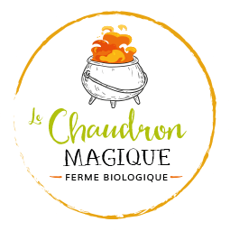 Le Chaudron Magique