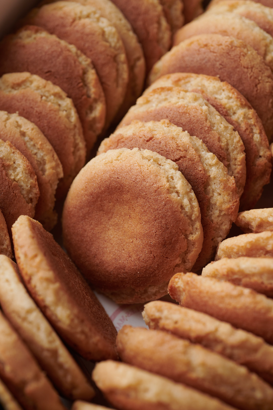 Maison Adam, Saint-Jean-de-Luz - photo 3